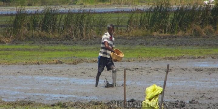 முல்லைத்தீவில்