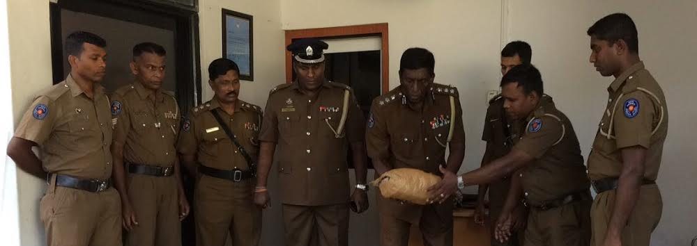 சாவகச்சேரியில் 231 கிலோ கேரளா கஞ்சா