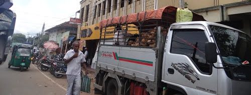 யாழில் வெளிநாட்டு மோகத்தில் காசு கொடுத்து ஏமாந்த விஜிதன்