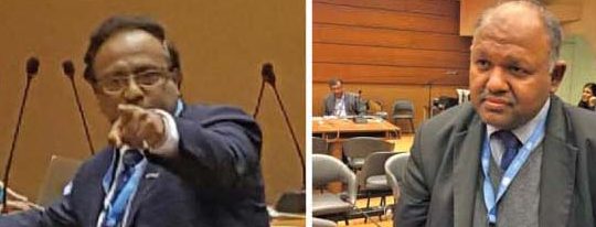 நாடு கடந்த தமிழீழ அரசு - மஹிந்த அணி